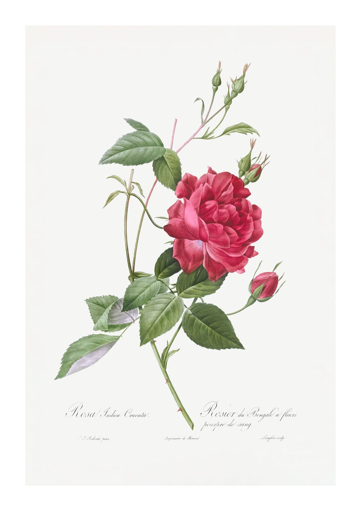 variant-21x30_with-margin