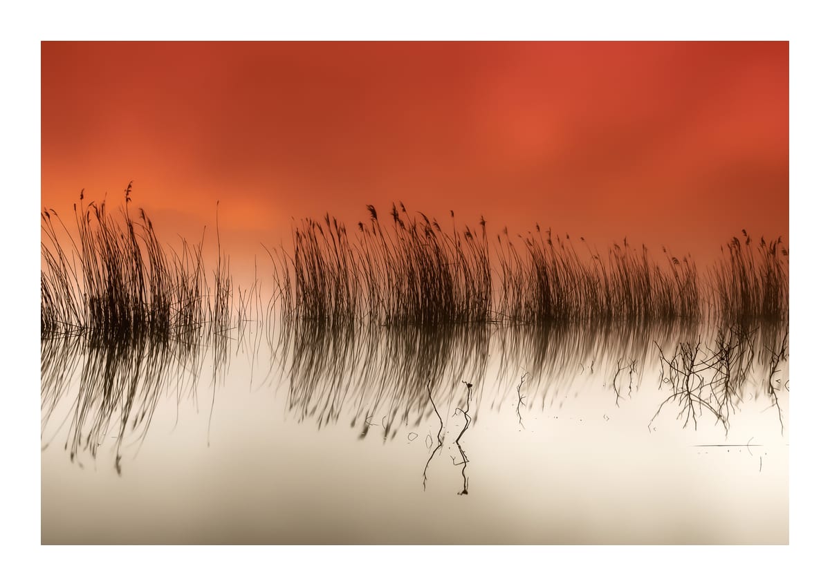 variant-21x30_with-margin