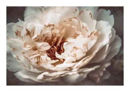 variant-21x30_with-margin