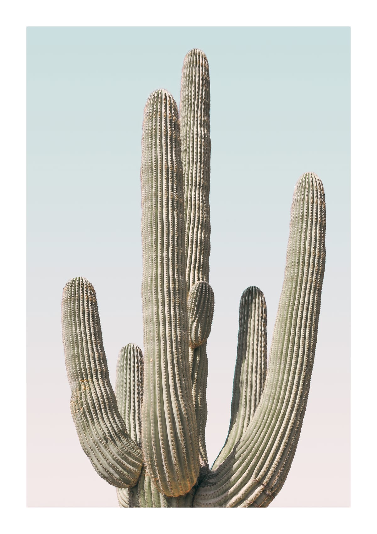 variant-21x30_with-margin