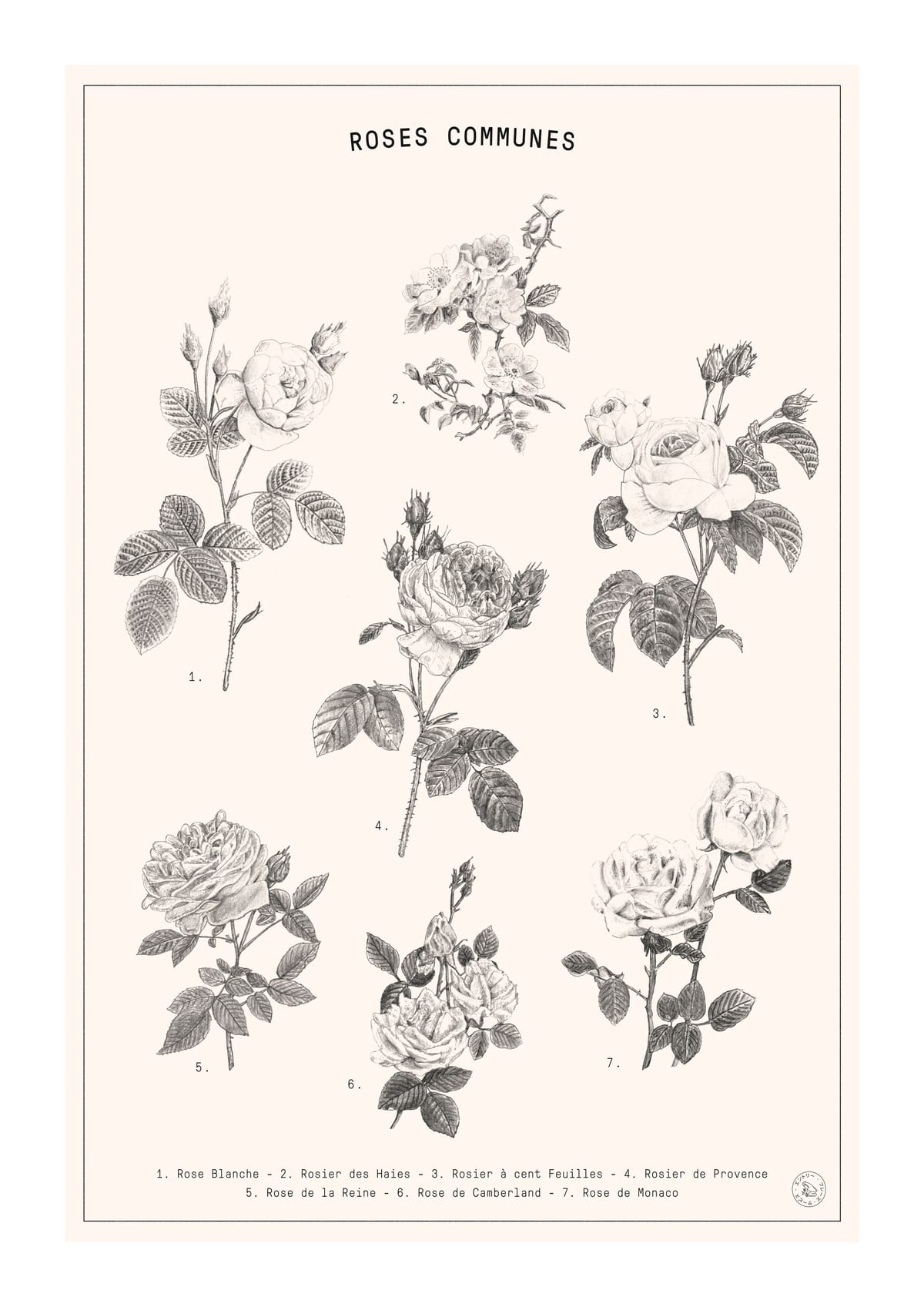 variant-21x30_with-margin