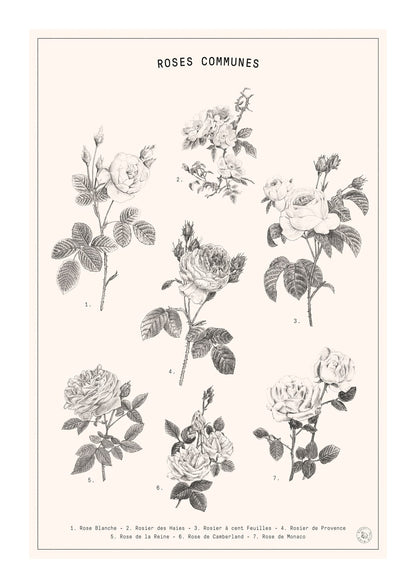variant-21x30_with-margin