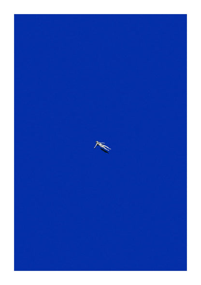 variant-21x30_with-margin