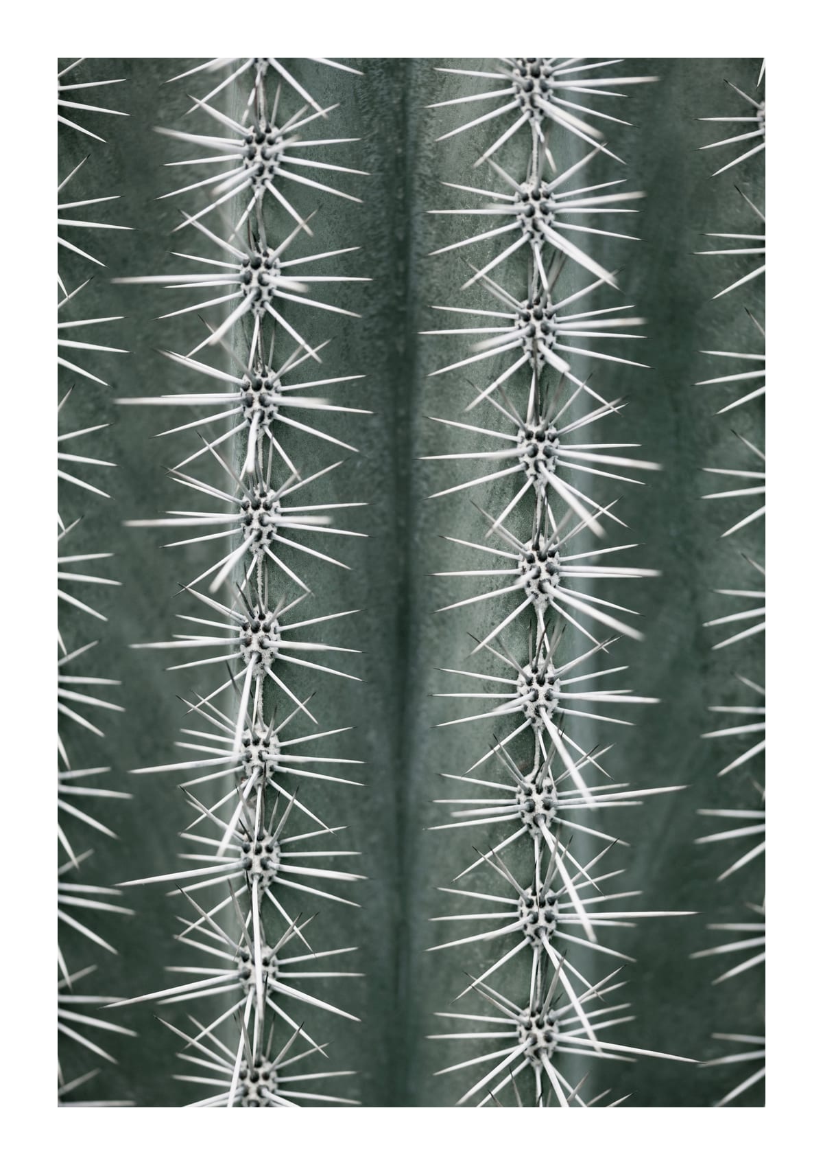 variant-21x30_with-margin
