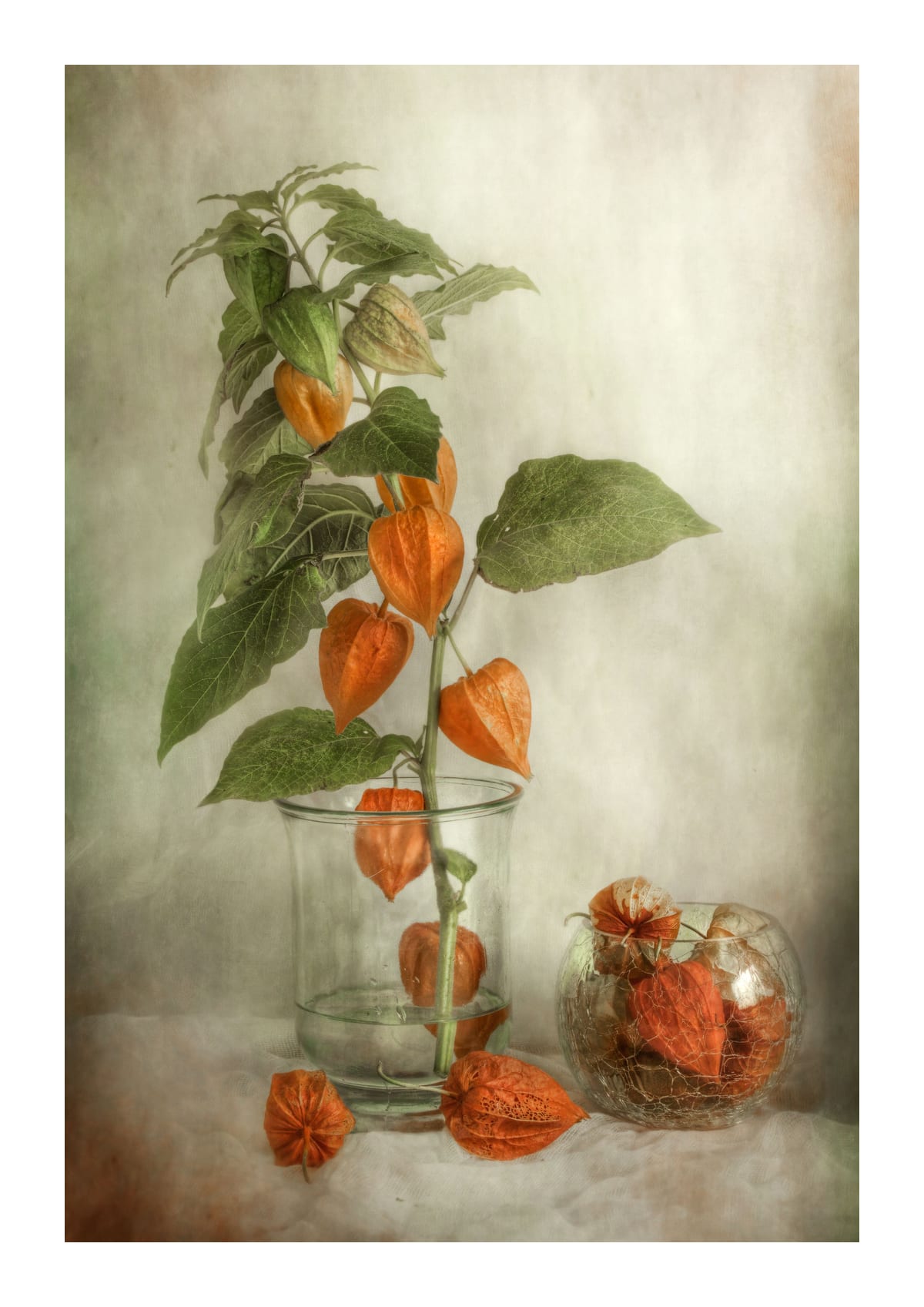 variant-21x30_with-margin