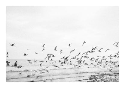 variant-21x30_with-margin