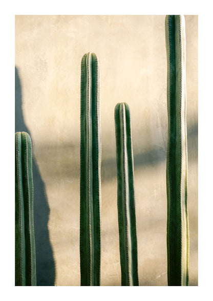 variant-21x30_with-margin