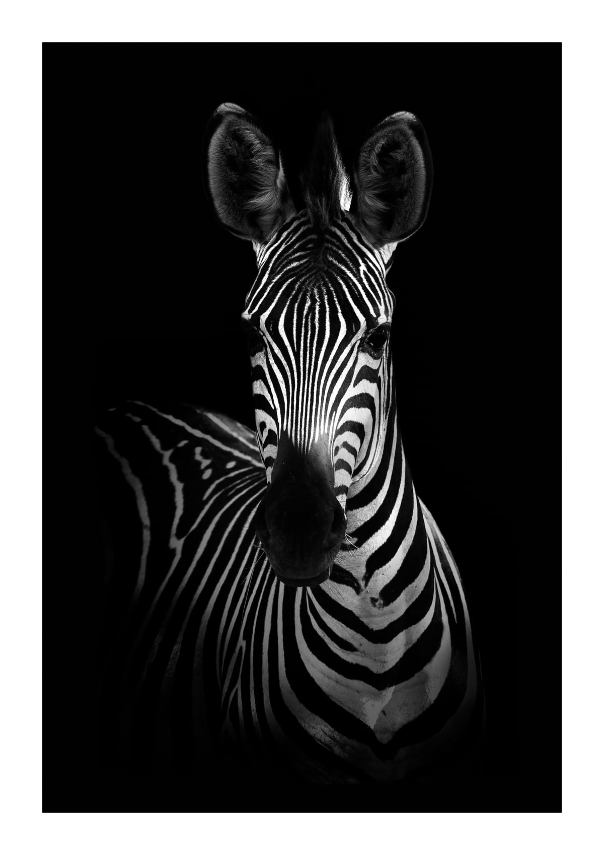 variant-21x30_with-margin