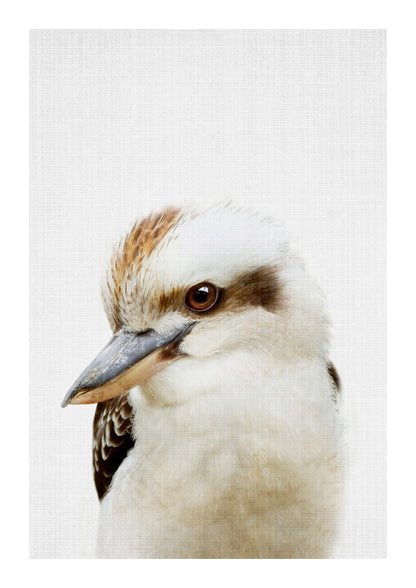 variant-21x30_with-margin