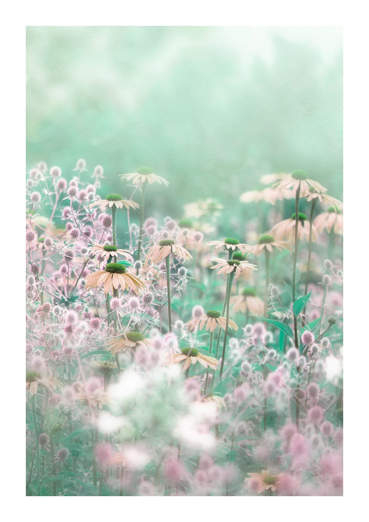 variant-21x30_with-margin