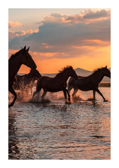 variant-21x30_with-margin