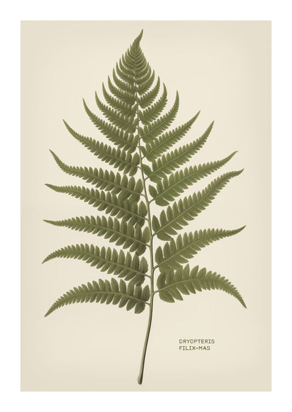 variant-21x30_with-margin