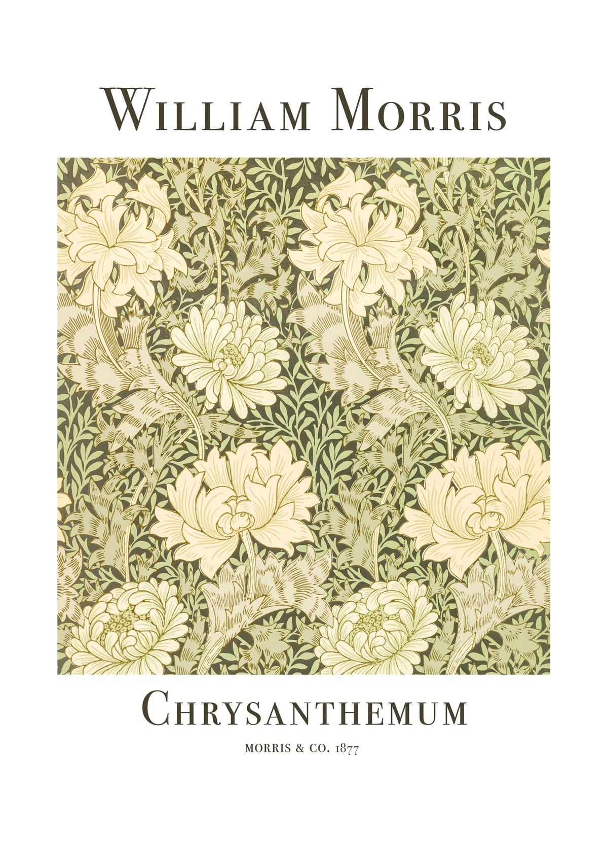 variant-21x30_with-margin