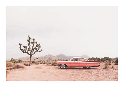 variant-21x30_with-margin