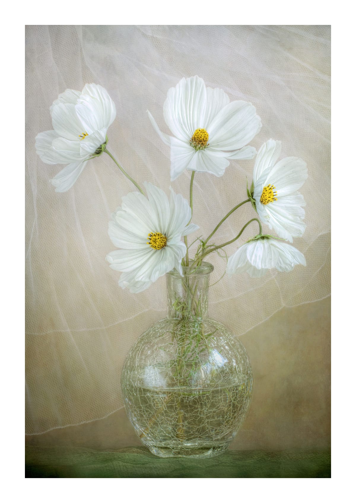 variant-21x30_with-margin