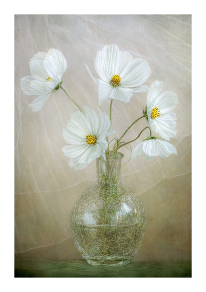 variant-21x30_with-margin