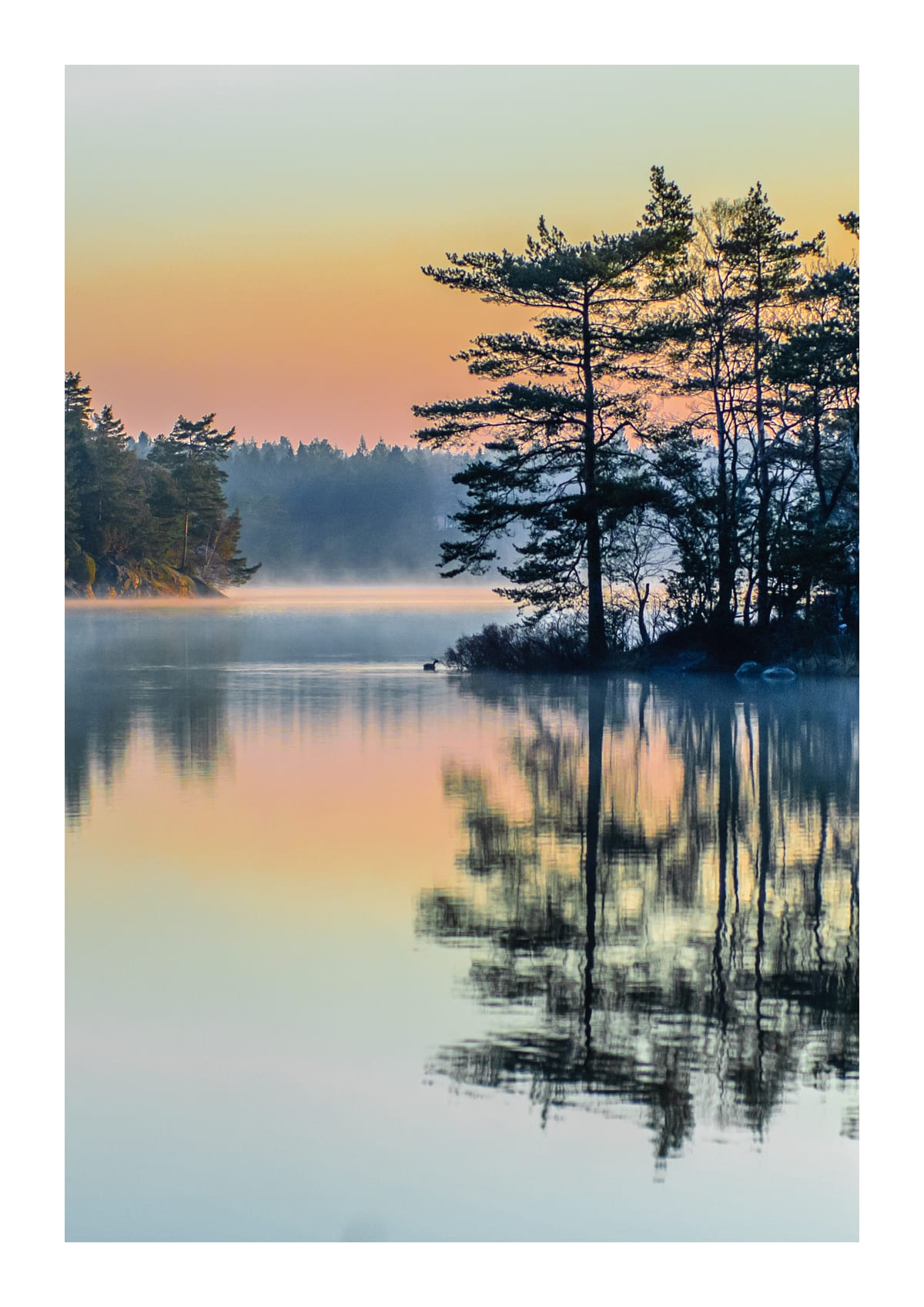 variant-21x30_with-margin
