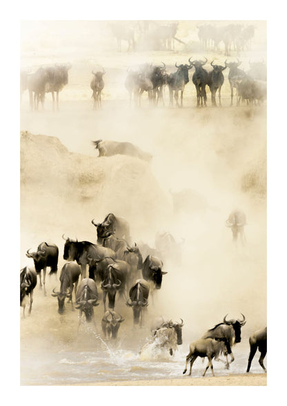 variant-21x30_with-margin