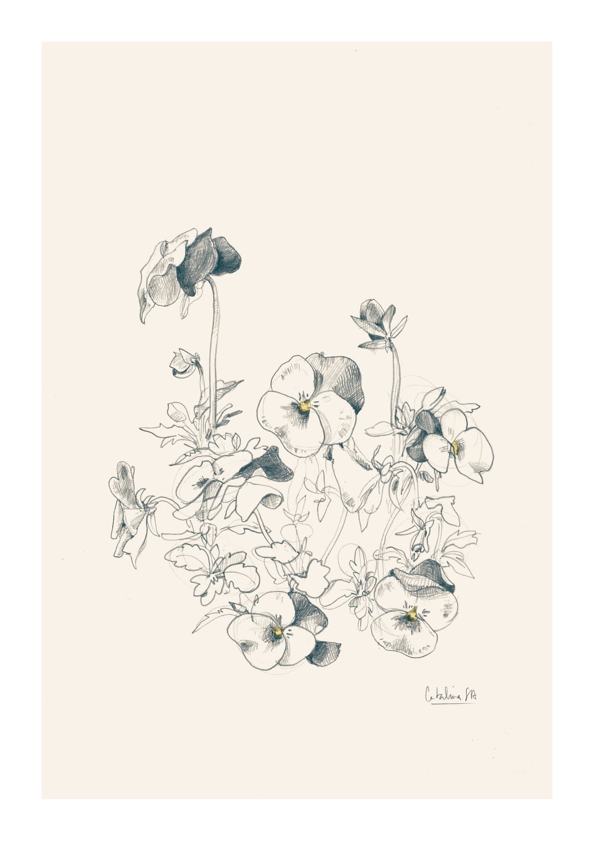 variant-21x30_with-margin