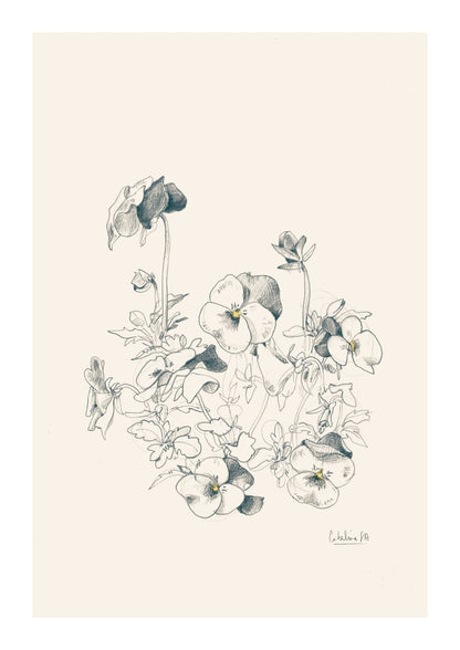variant-21x30_with-margin