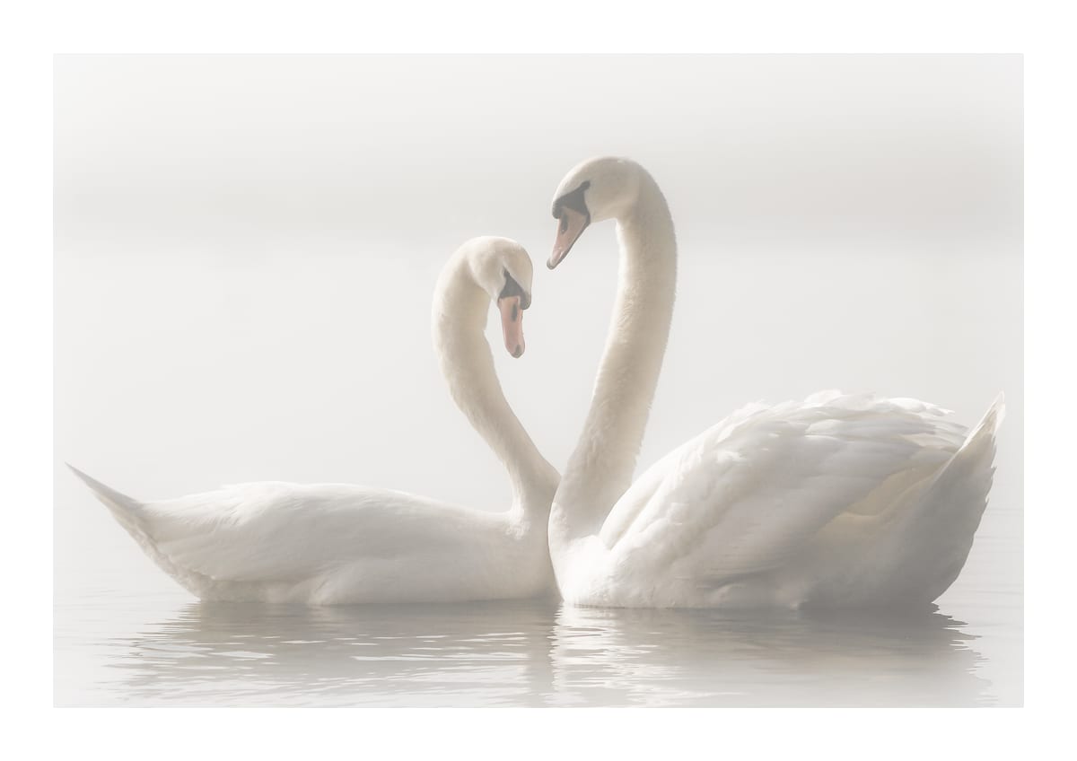 variant-21x30_with-margin