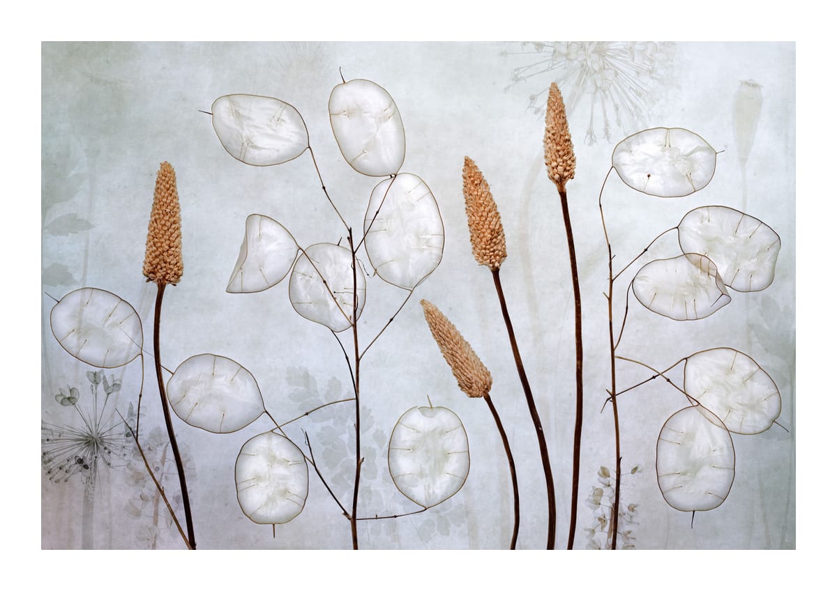 variant-21x30_with-margin