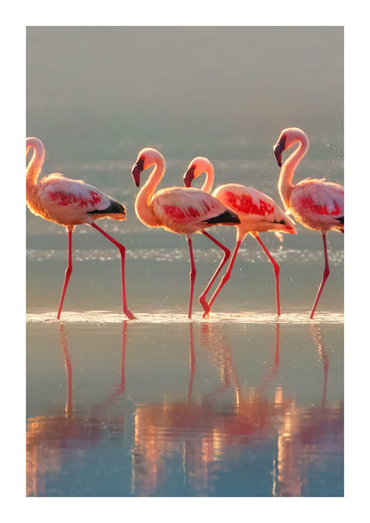 variant-21x30_with-margin