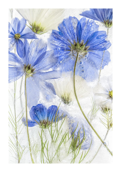 variant-21x30_with-margin
