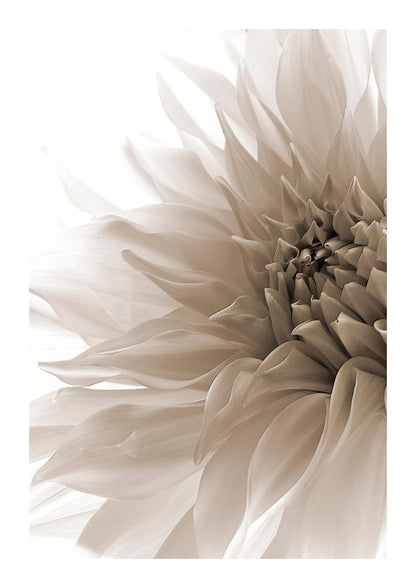 variant-21x30_with-margin