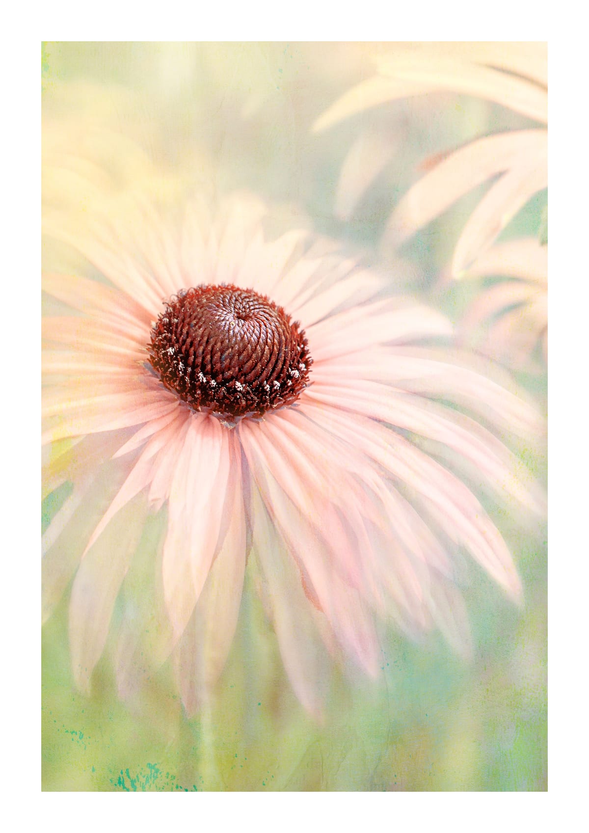 variant-21x30_with-margin