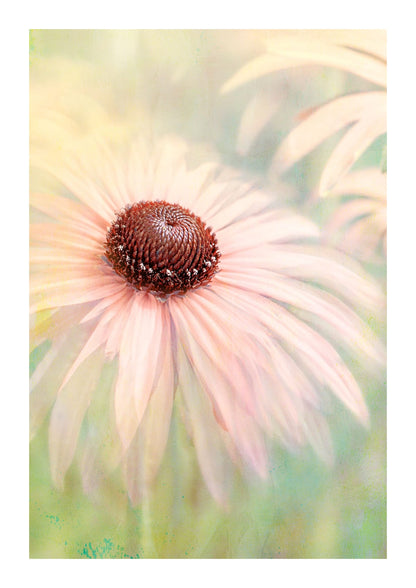 variant-21x30_with-margin