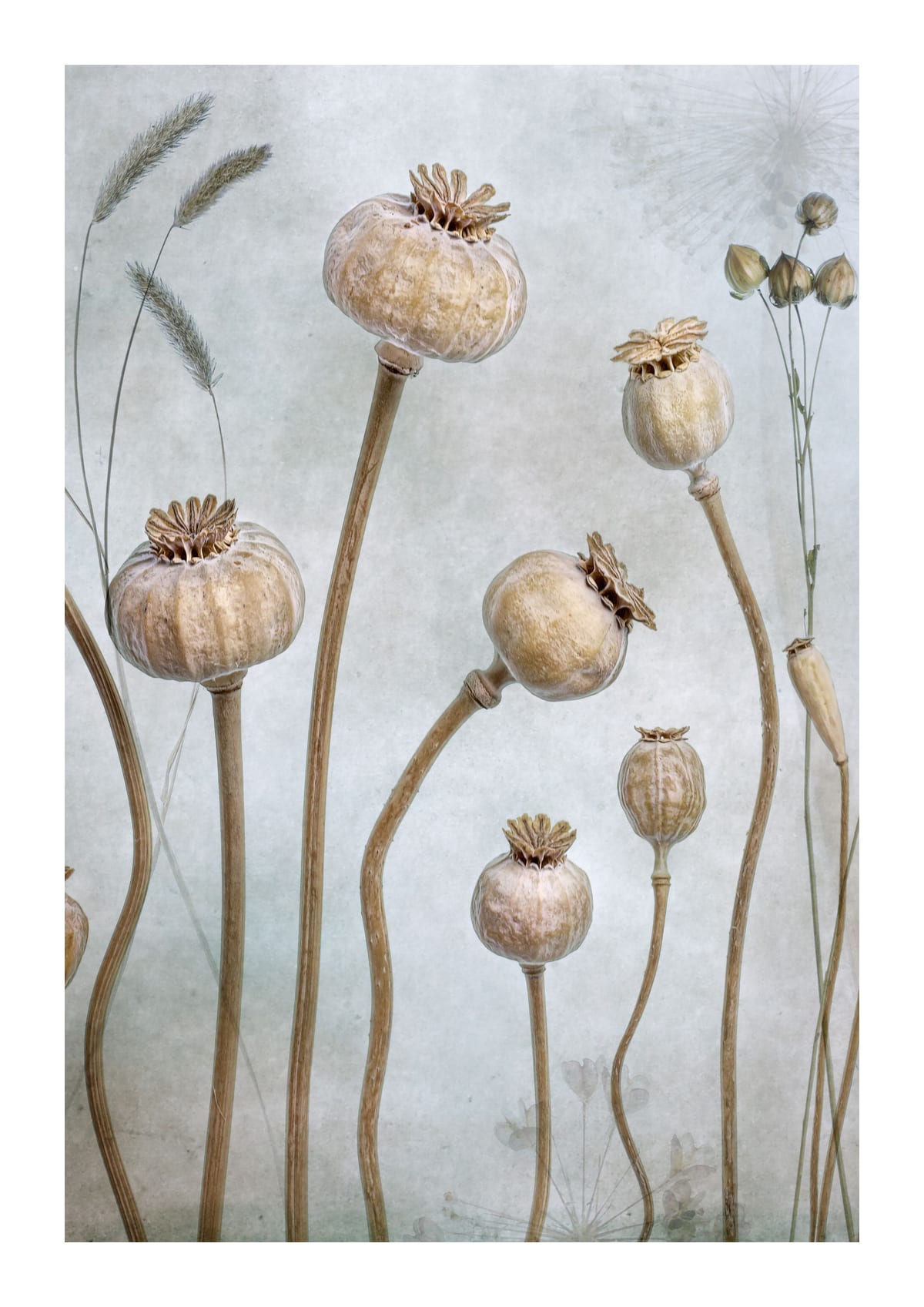 variant-21x30_with-margin