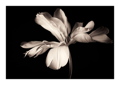 variant-21x30_with-margin