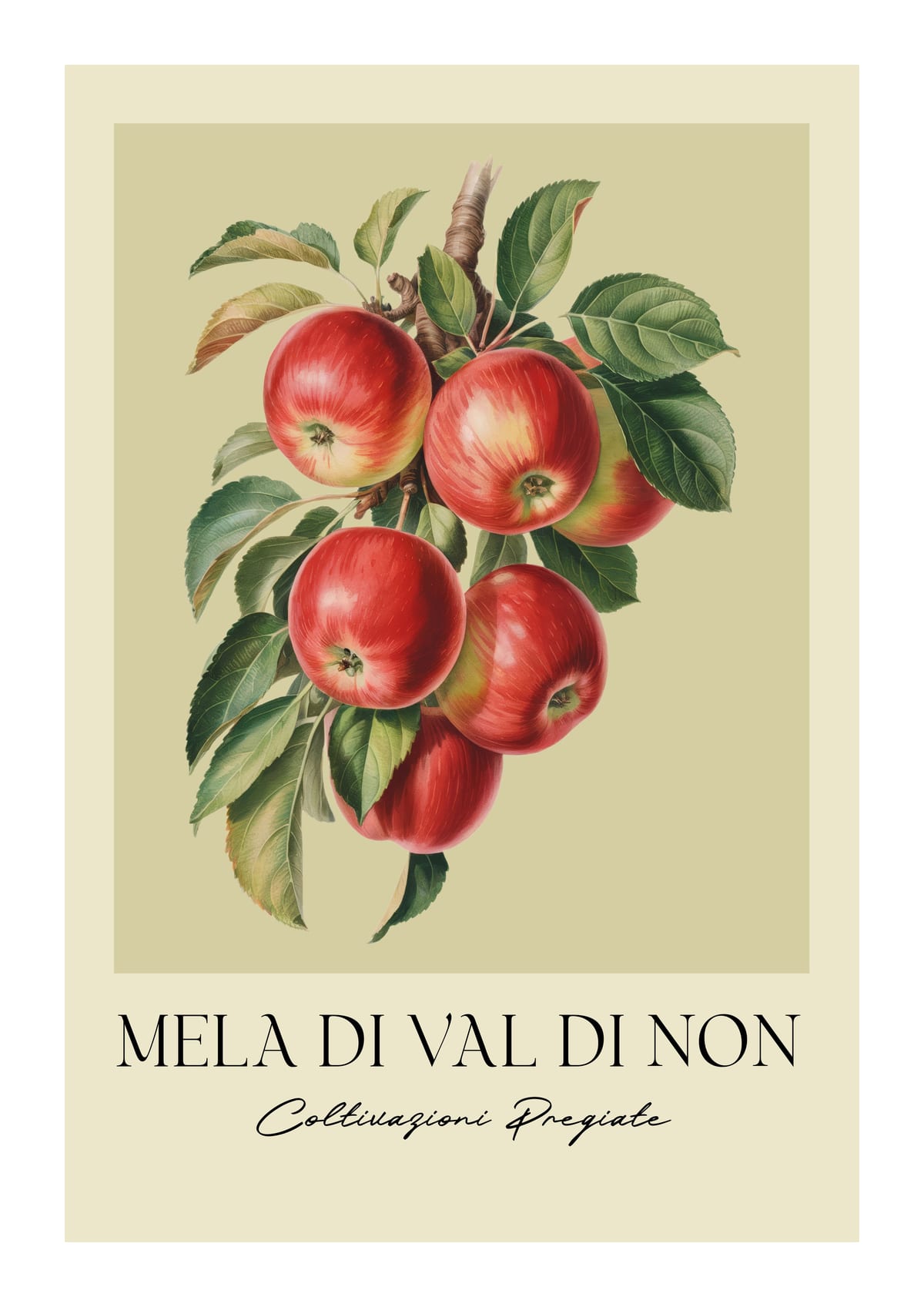 variant-21x30_with-margin