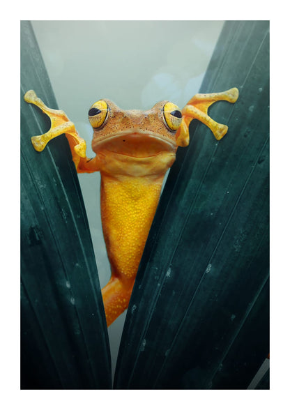 variant-21x30_with-margin