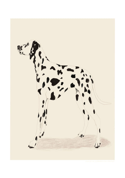 variant-21x30_with-margin