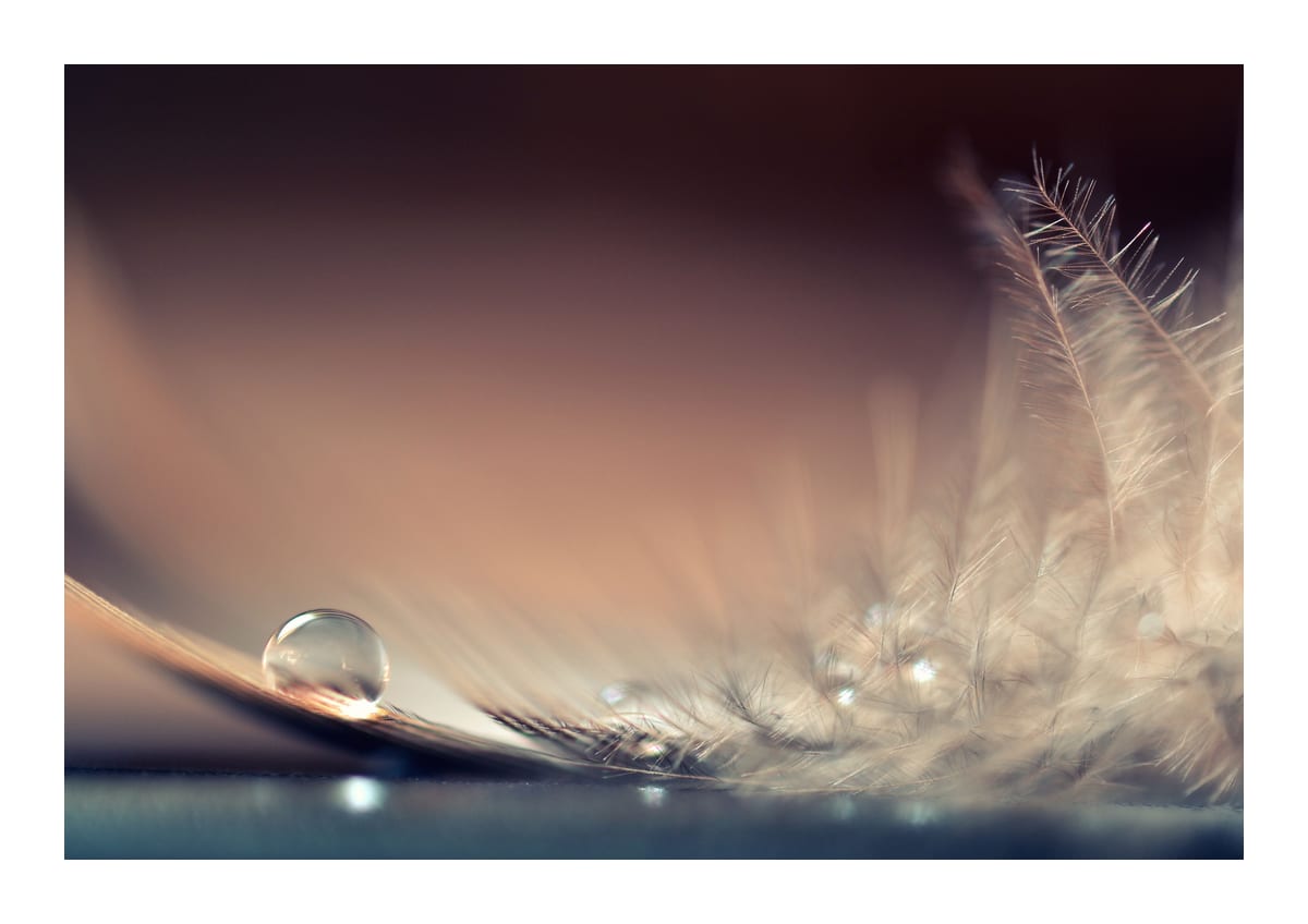 variant-21x30_with-margin