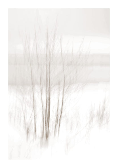 variant-21x30_with-margin
