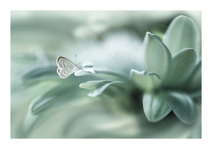 variant-21x30_with-margin