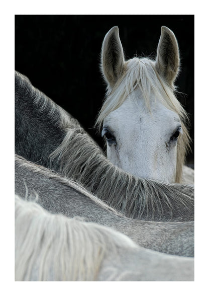 variant-21x30_with-margin