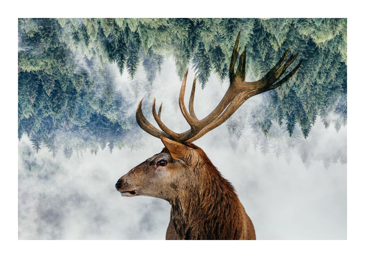 variant-21x30_with-margin