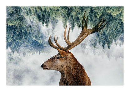 variant-21x30_with-margin