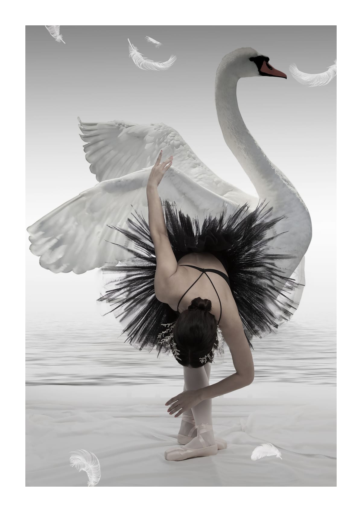 variant-21x30_with-margin
