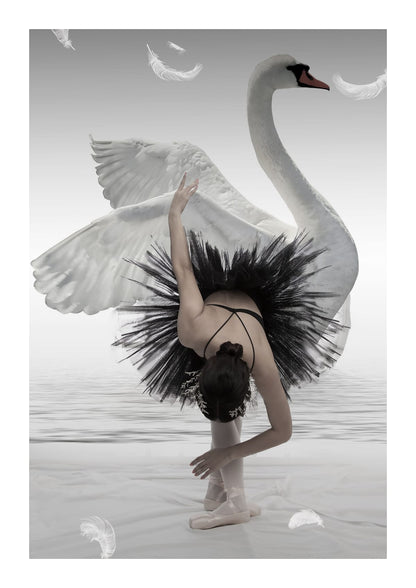 variant-21x30_with-margin
