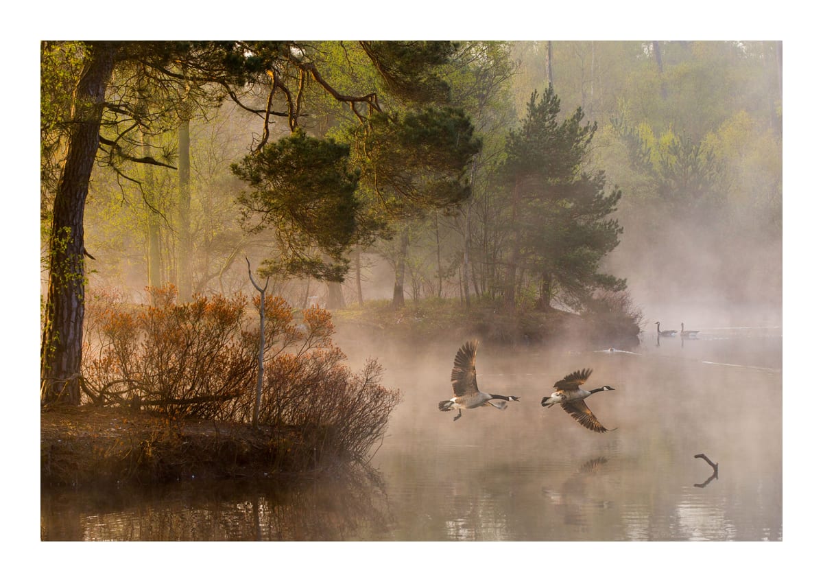 variant-21x30_with-margin