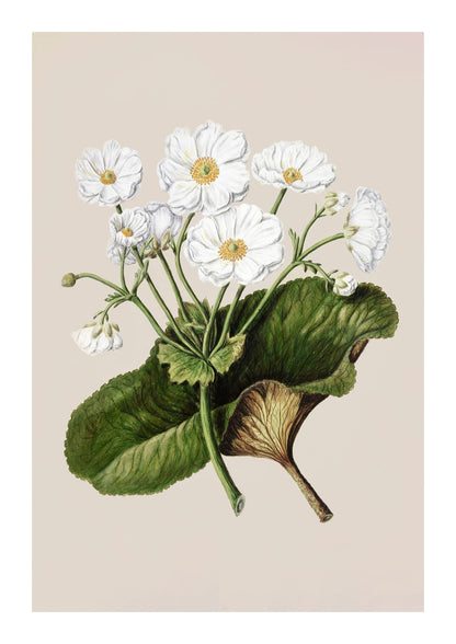 variant-21x30_with-margin