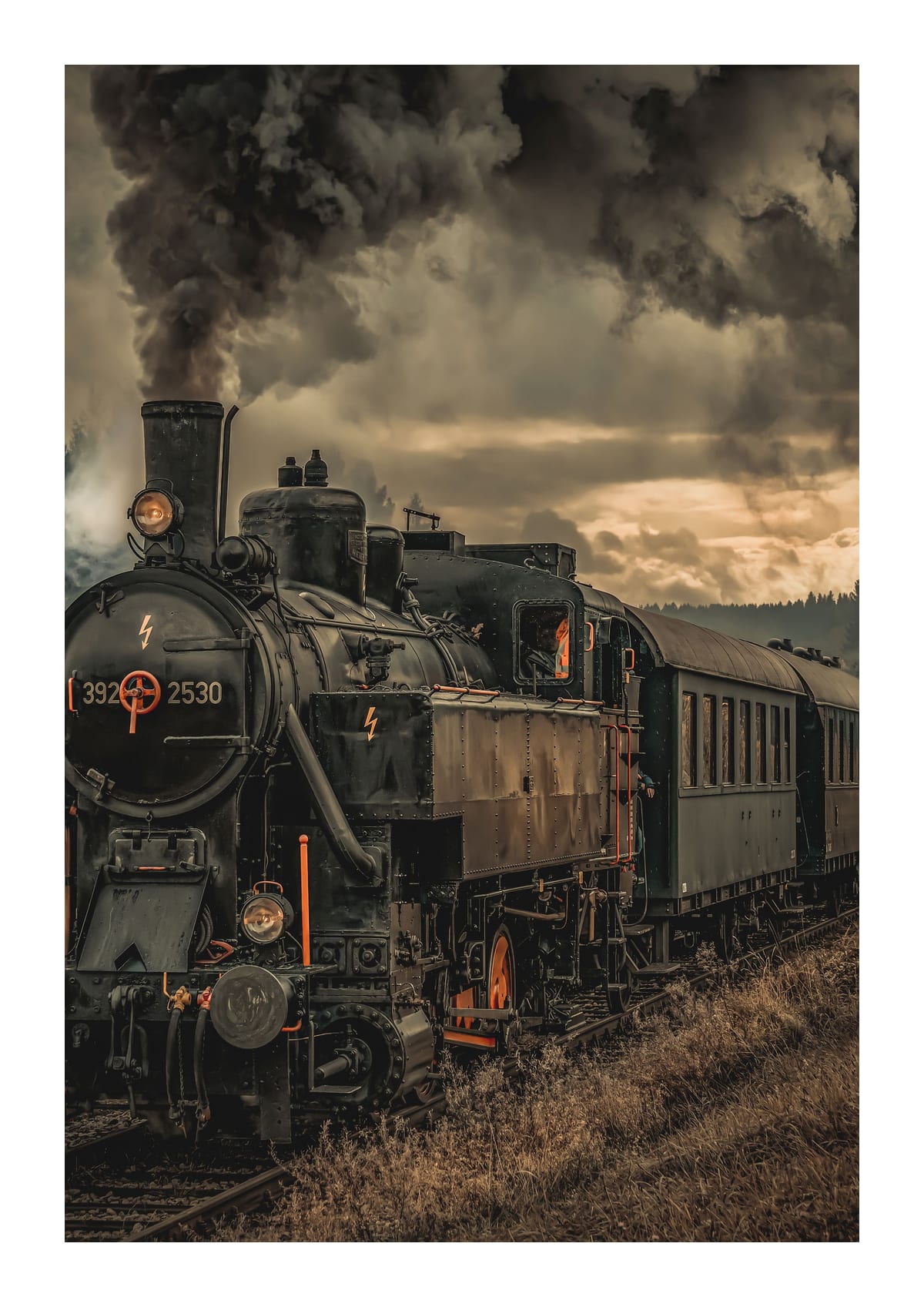 variant-21x30_with-margin