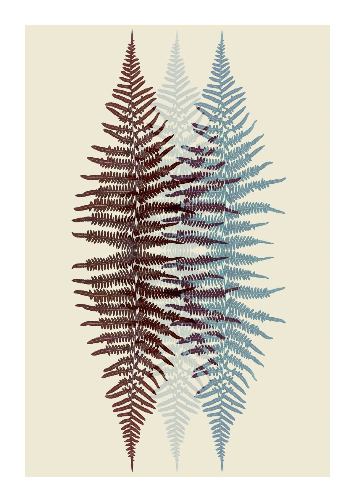 variant-21x30_with-margin