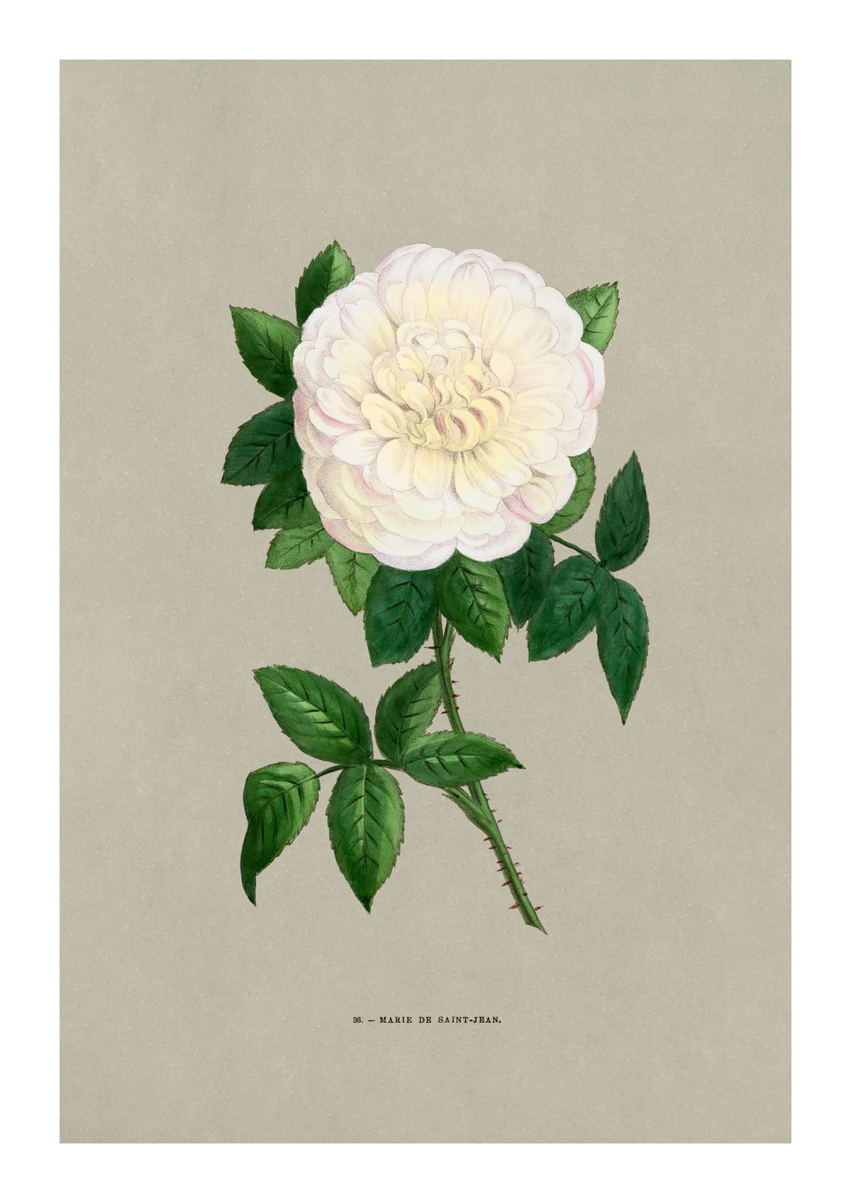 variant-21x30_with-margin
