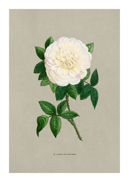 variant-21x30_with-margin